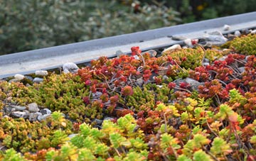 the cost of Guardbridge green roof installation