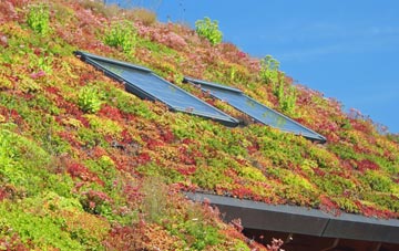 Guardbridge living roof systems