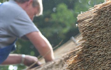 professional Guardbridge thatchers