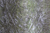 Guardbridge fibreglass roof work